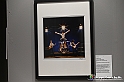 VBS_1770 - Mostra Peter Hince - Queen Experience